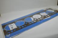 Прокладка головки блоку циліндрів двигуна TATA I-VAN, Еталон, (613 EII) Elring 252501155341