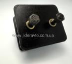 Подушка двигуна передня Тата 613, Еталон, БАЗ, 257324100103