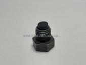 Пробка піддону зливна ТАТА Еталон Іван 253401130111