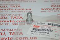 Клапан розпилювача охолодження поршня ISUZU 4HG1/4HG1-T БОГДАН оригінал 8973296180